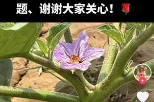 一个不丢！奥卡福首节5中5得12分2板 正负值为+8